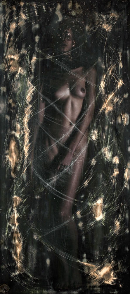 Sans Tache #5