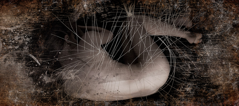Sans tache #40